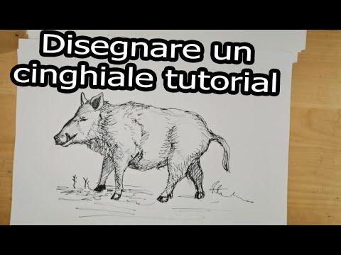 Cinghiale da disegnare: una guida pratica per creare un’opera d’arte selvaggia!