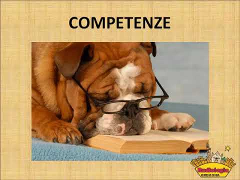 I requisiti indispensabili per diventare un coordinatore infermieristico efficace