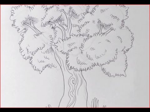 La psicologia dei tratti nascosti: scopri come disegnare alberi rivela la tua personalità