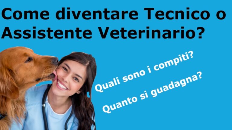 Scopri il corso di assistente veterinario a un prezzo imperdibile!