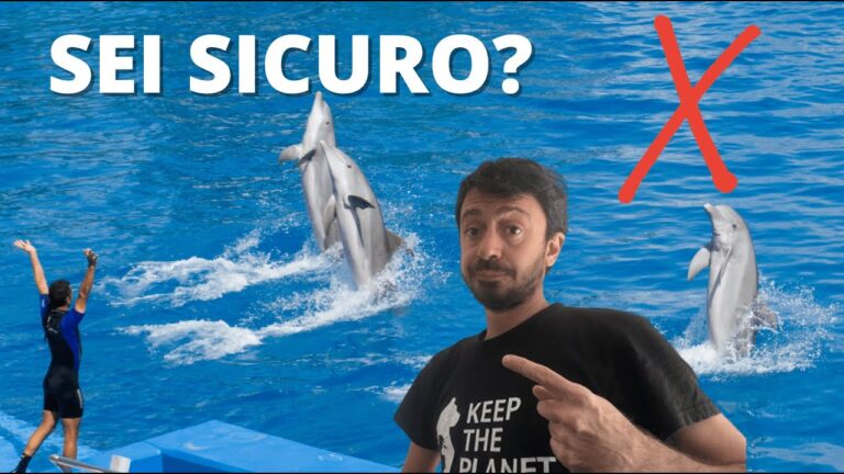 Guida pratica per diventare addestratrice di delfini: realizza il tuo sogno marino in 5 semplici passi!